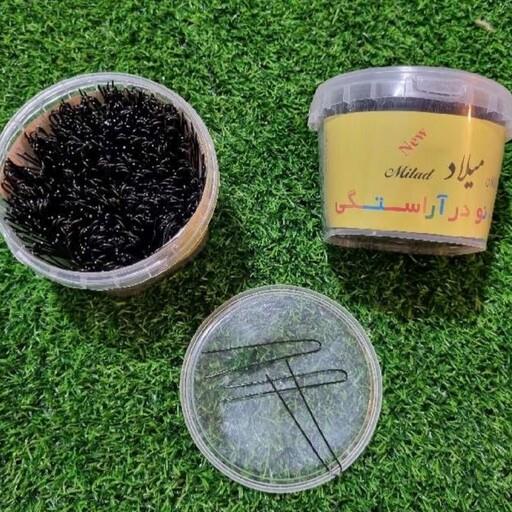 سنجاق شنیون میلاد